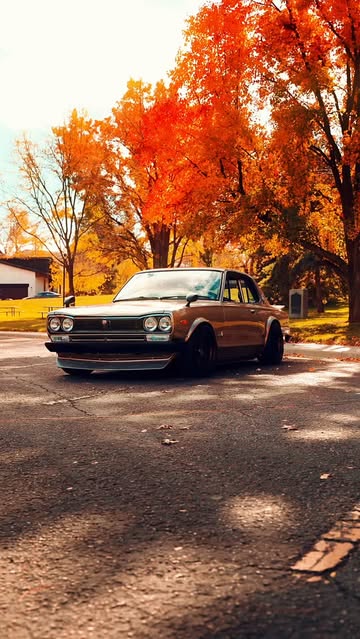 “Live a little”