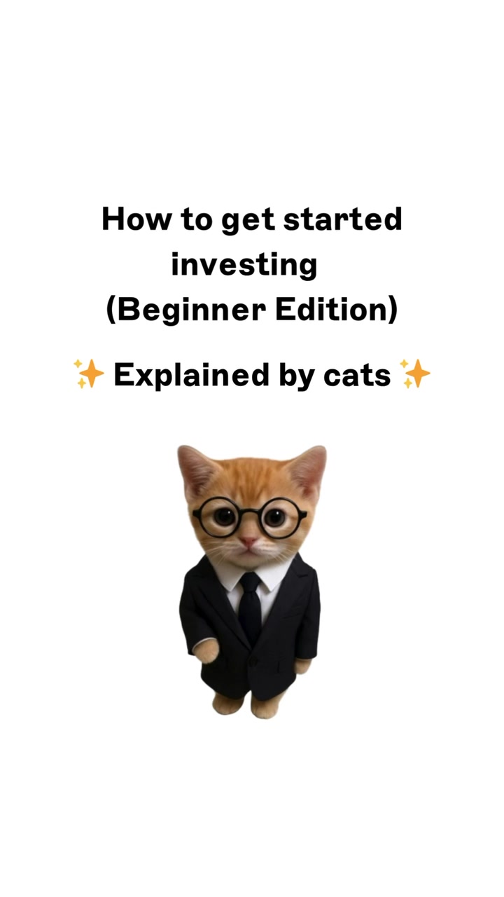 kitty explain how to get started investing #personalfinance #financialliteracy #finance101 #investing