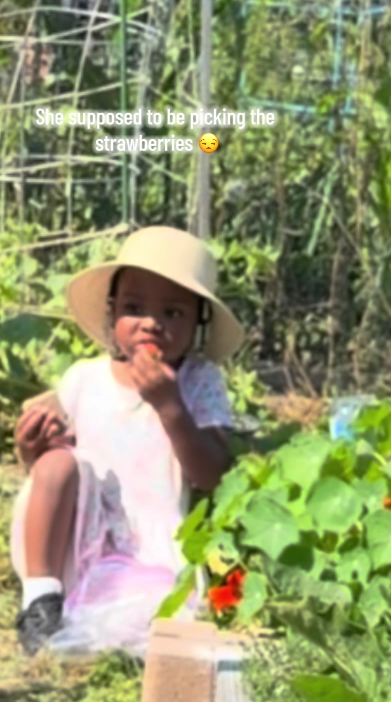 What can I say to my garden baby 😭🍓she love her berrys #gardening #blackgirlmagic #girlmom #fyp