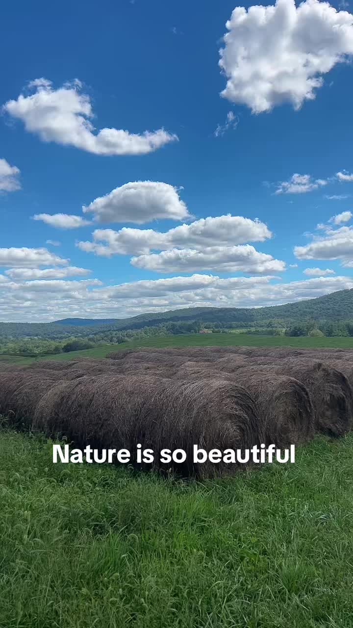 #nature #VA