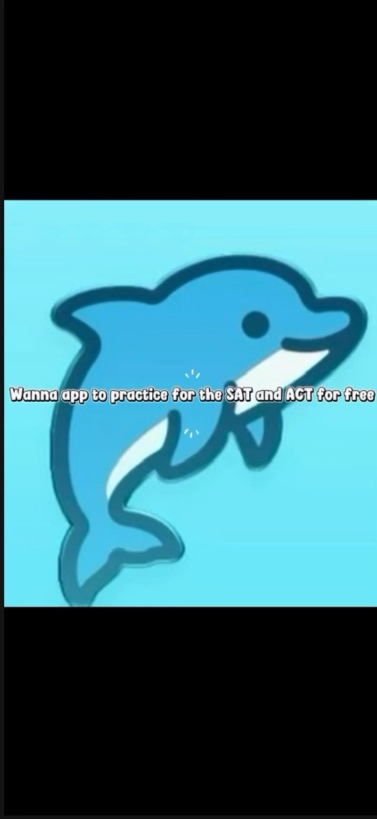 MP4 dolphin sat & act