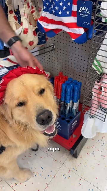 Amamos Favorite Store @petco ❤️