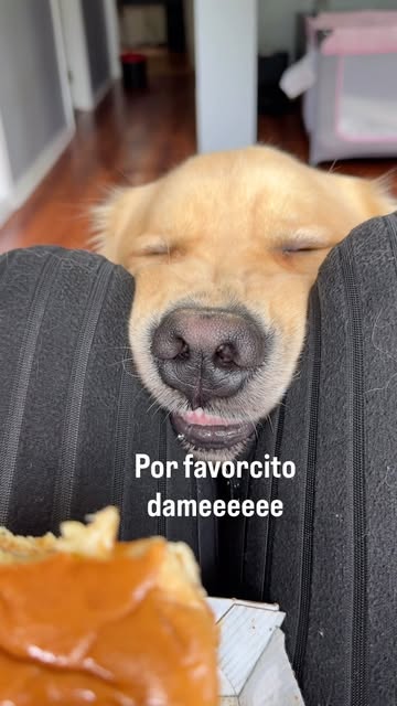 Límites es algo que él no conoce 🙄