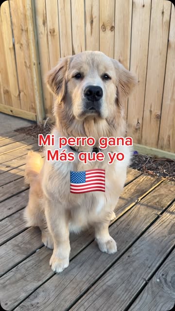 Comenta UGC y empieza ya! Que mas estás esperando? Estamos en la mejor era para empezar a ganar por todos lados ! Es...