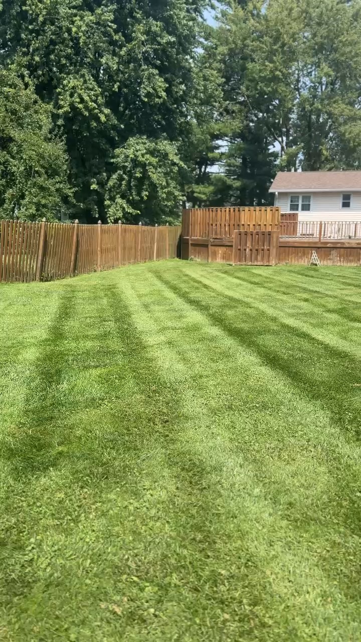 Stripes