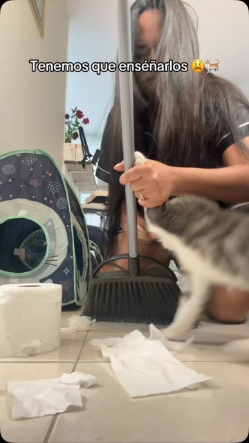 #gato #memes #fypシ #viral #video