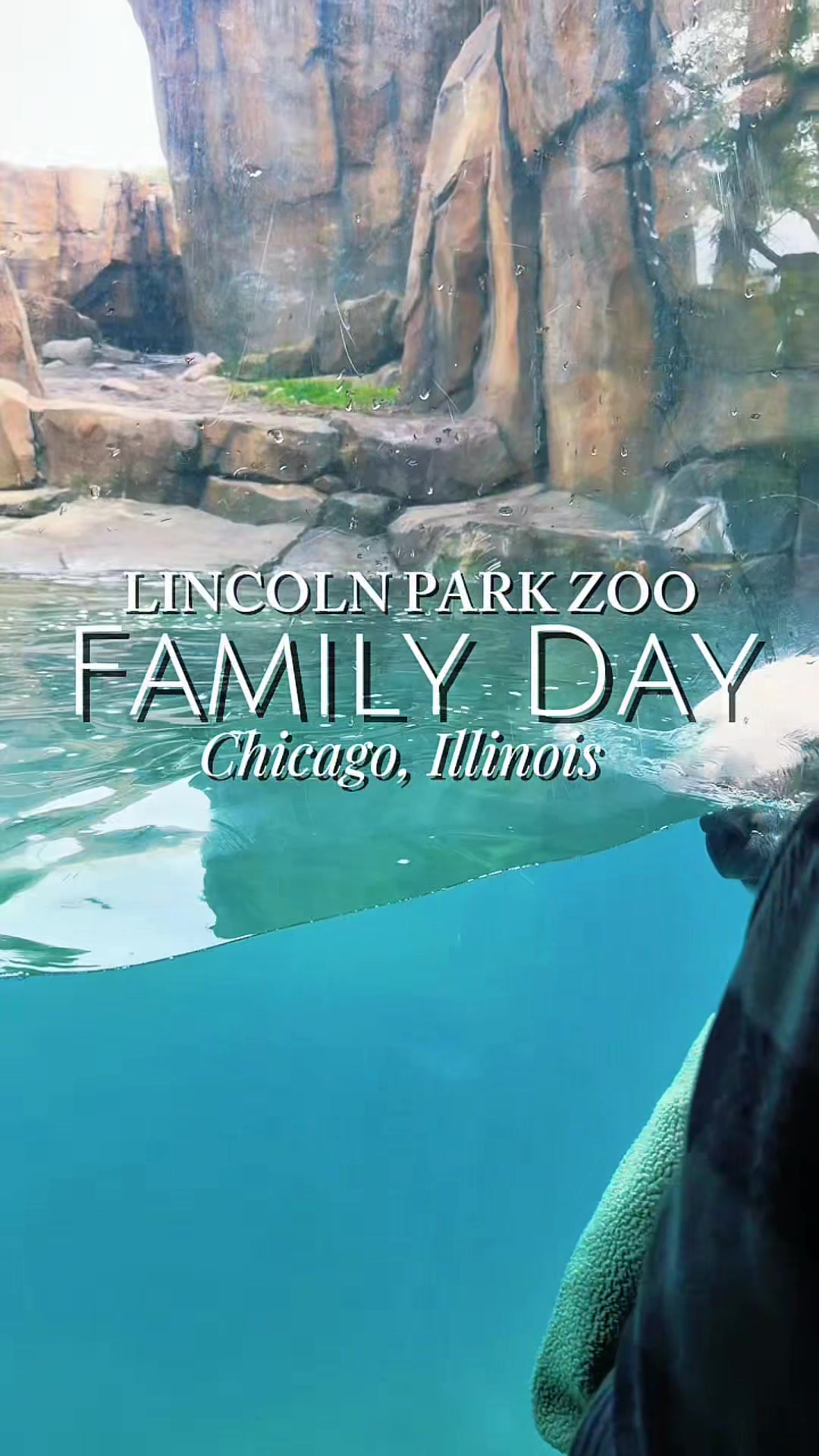 The animals aren’t the only reason you should check out @Lincoln Park Zoo this summer in Chicago! It’s one of our fav...