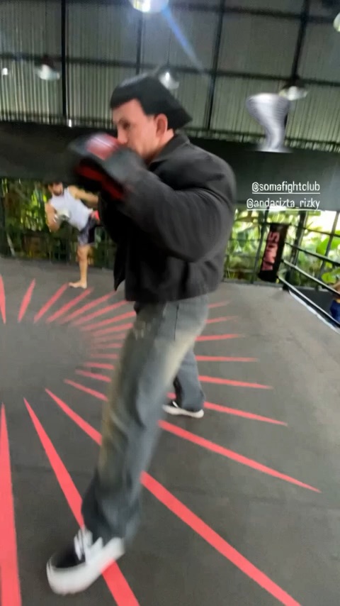 Hitting pads