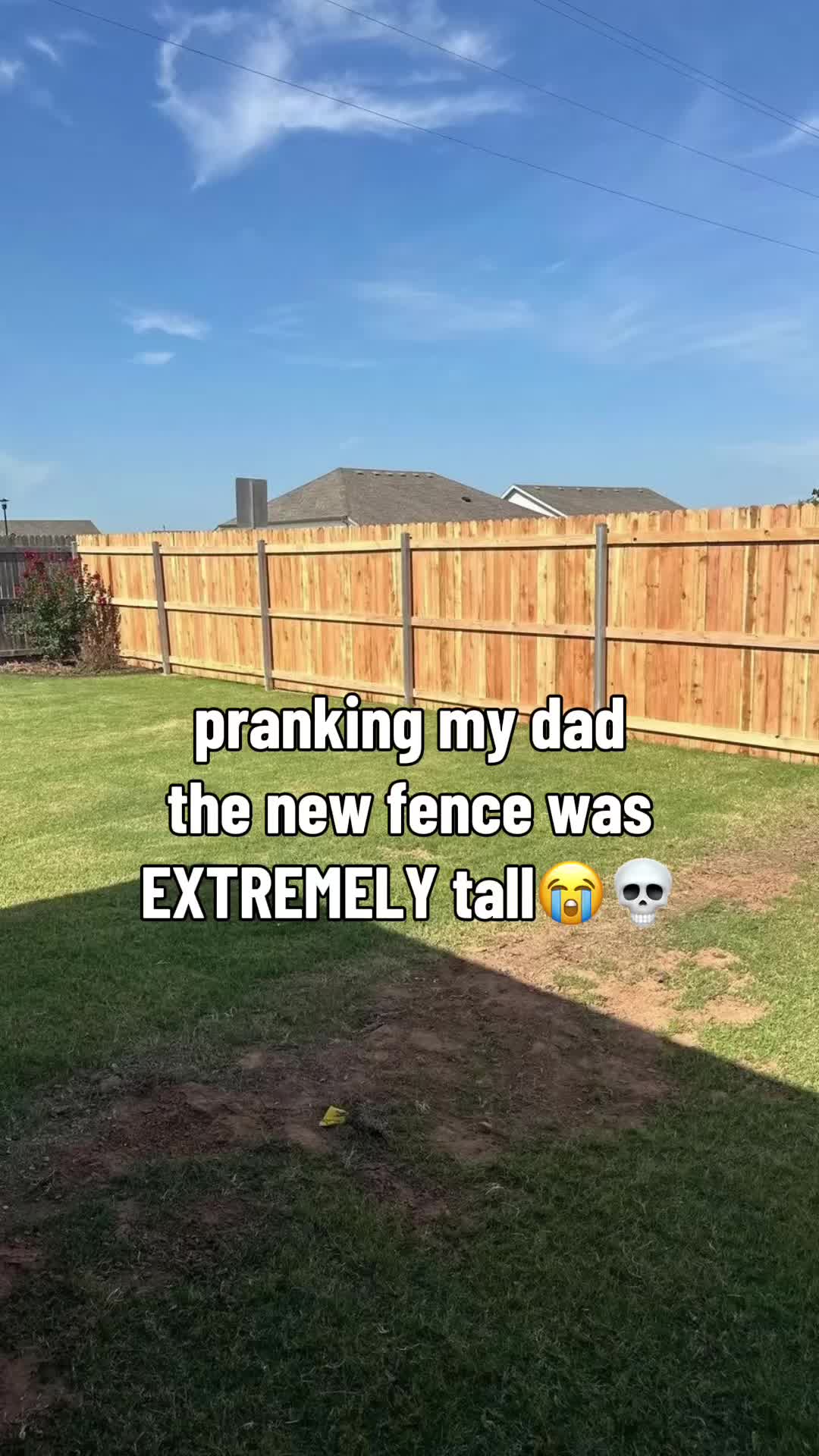 His reaction was perfect😭 #prank #aiprank #funny
