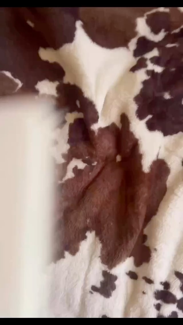 Fall Aesthetic
