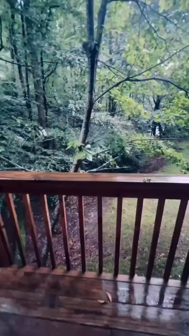 Late Summer