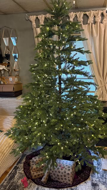 🎄🎅🌲Mariah said it’s go time🎅🌲🎄 I’m starting the holiday season with my newest Christmas tree from @kingofchrist...