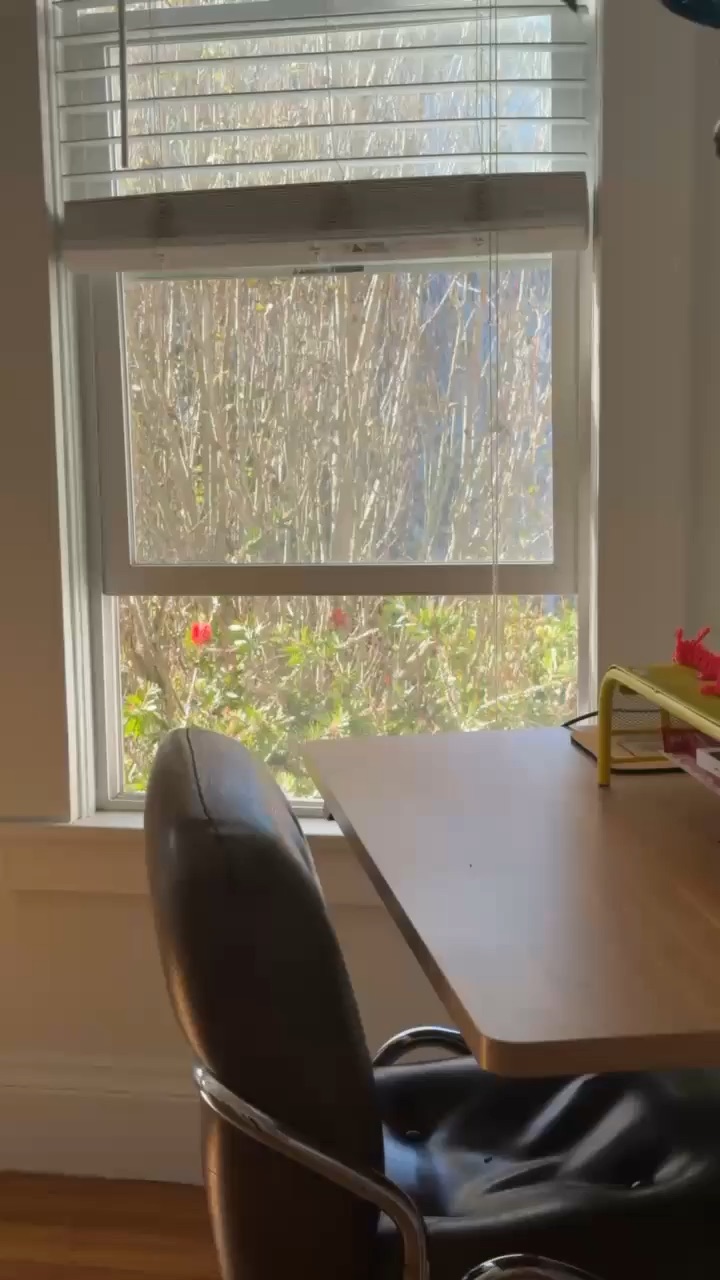 Lovable.ai