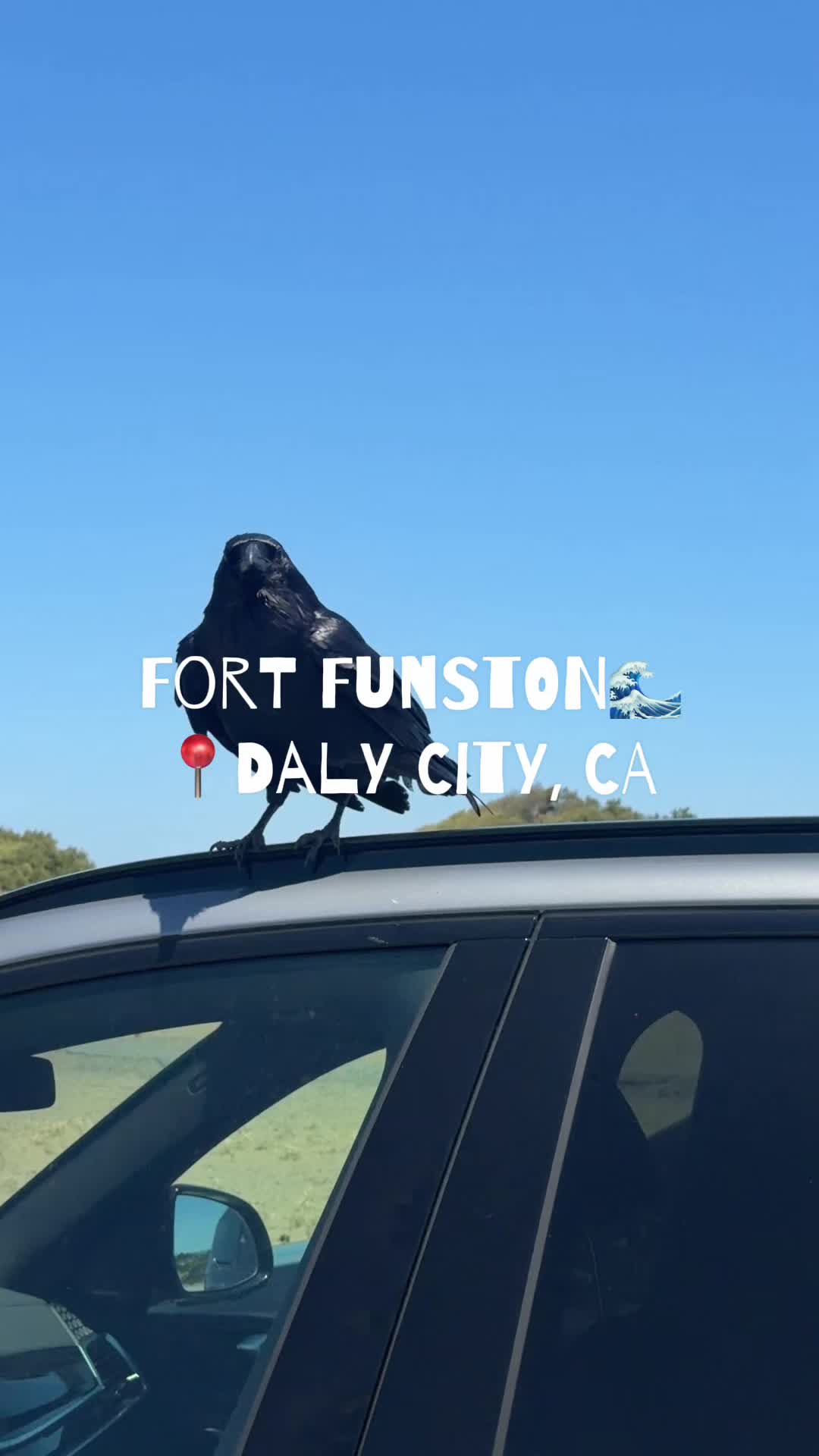 Shoutout @The Snack Sensei for putting us on! Fort Funston was absolutely beautiful couldn’t have gone on a better da...