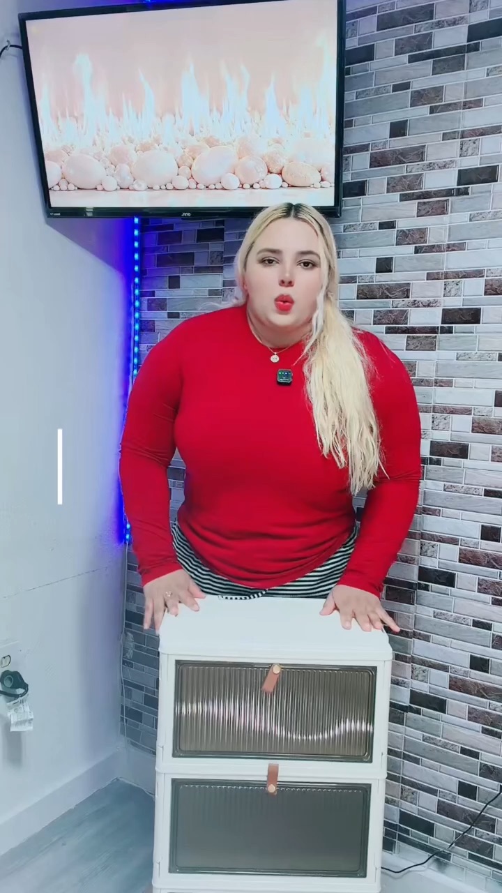 Organizador