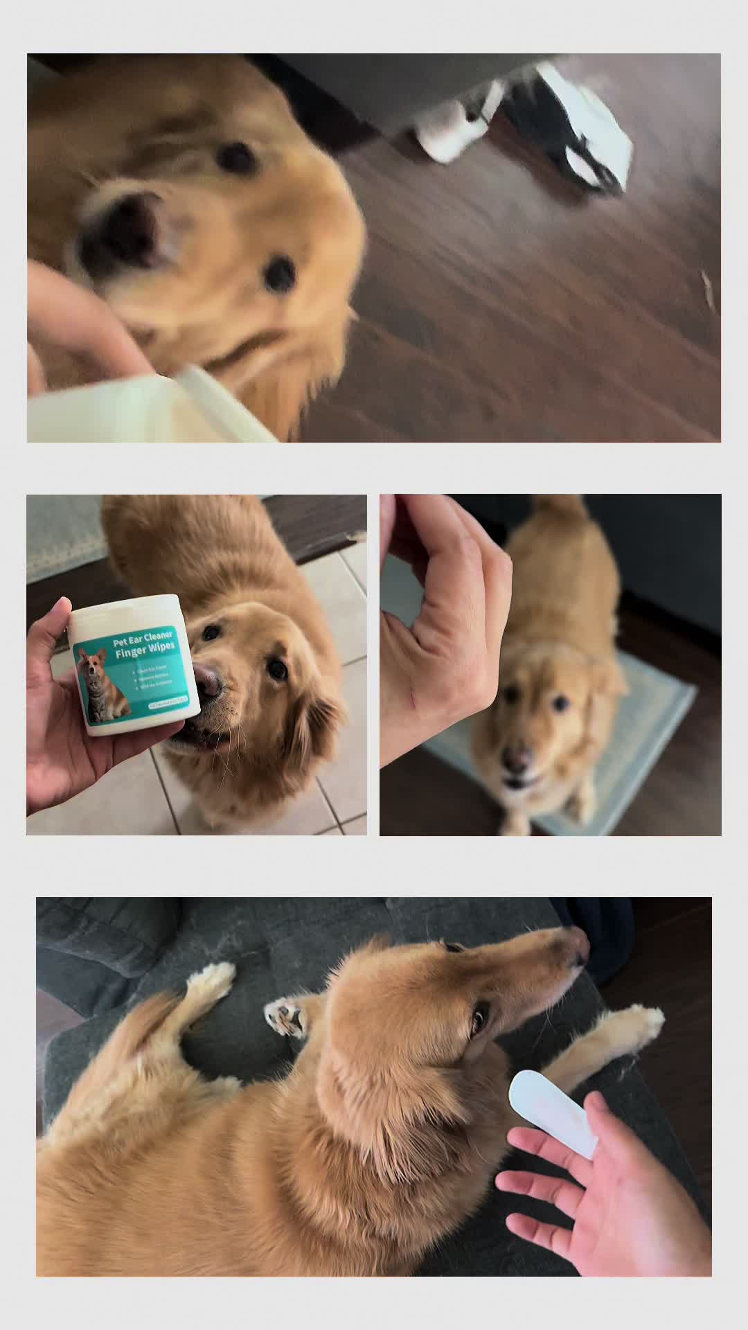 Keeping Nala’s ears clean has never been easier 🐾✨ These Dog Ear Cleaner Finger Wipes come with 50 pre-moistened wip...