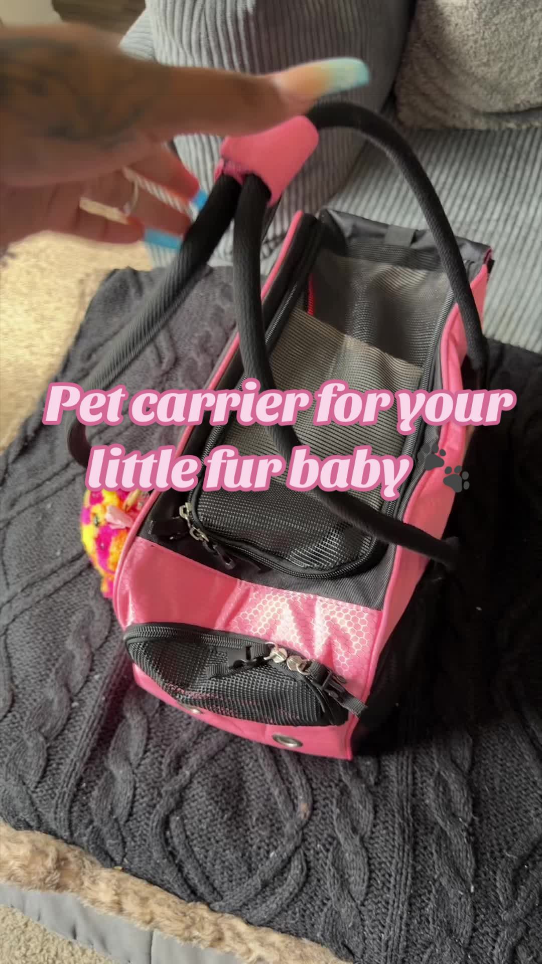 It has so much room for her and I love the security Features🐾🌸 #dogcarrier #dogbag #smalldogs #dogsofttiktok #cruel...