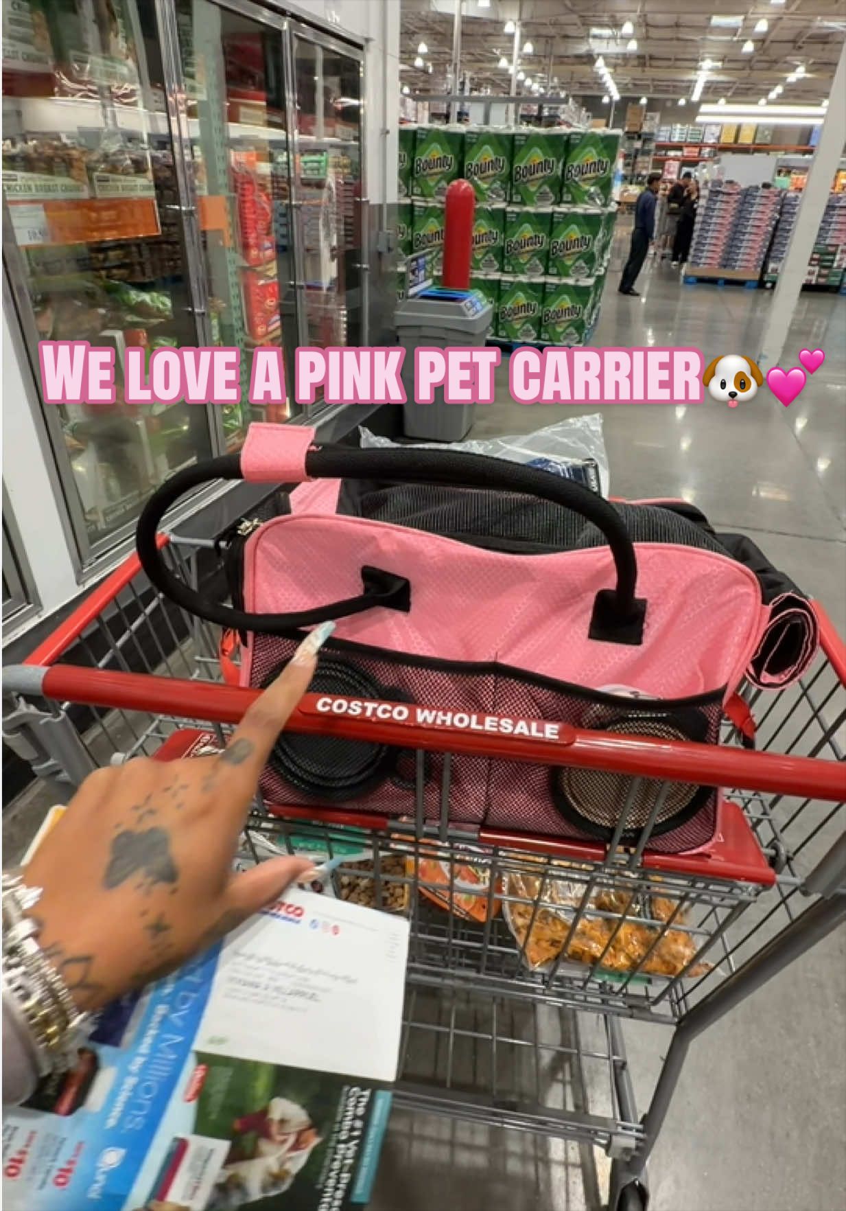 Cruella loves her new pet carrier🐶🌸 it has so much room and it’s secure🔒 #petcarrierbag #petcarrier #mydogmusthave...