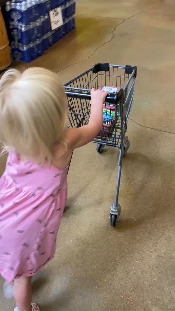 Family Grocery Haul