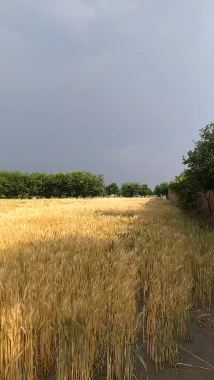 #fypシ゚viral Afghanistan 🇦🇫 #fypシ゚viral🖤tiktok☆♡ #POV nice view