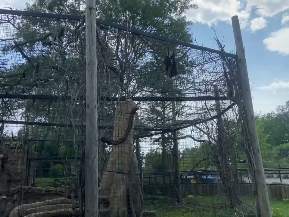 Zoo