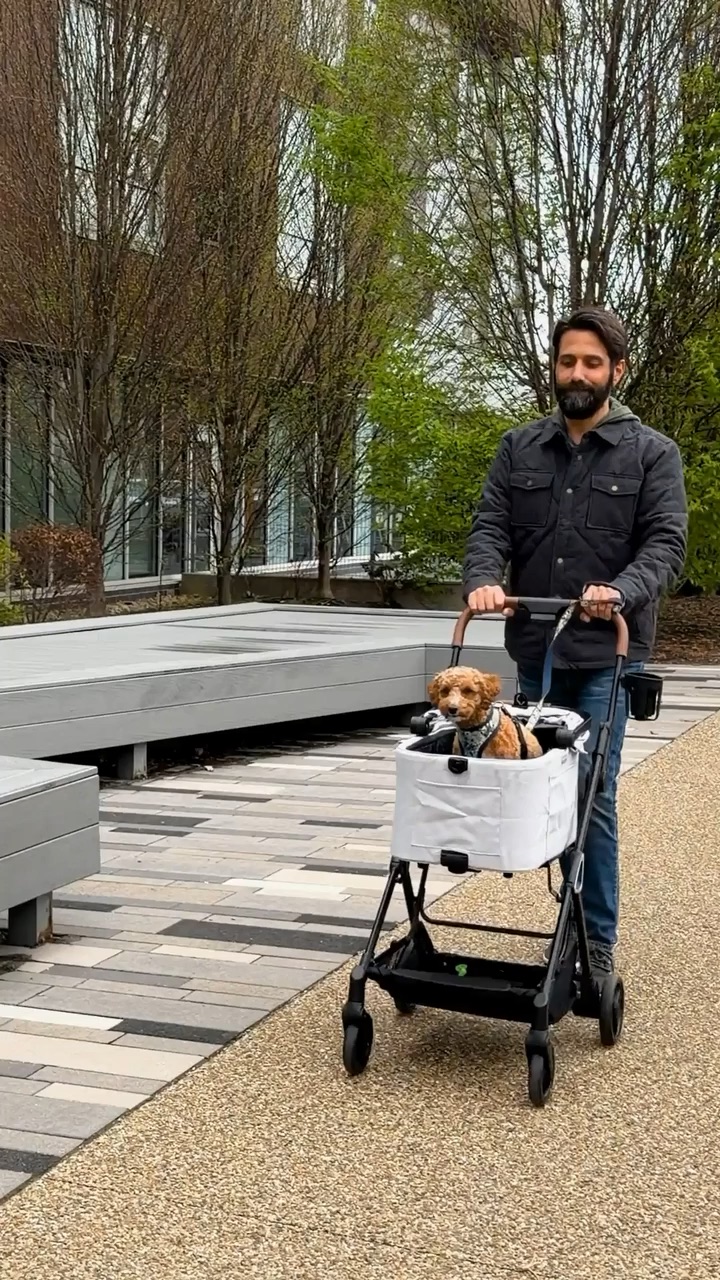 Ibiyaya Pet Strollers