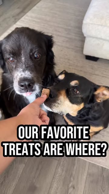 @platopettreats just launched at @petco and we couldn’t be more excited! We love a good healthy swap, and these are o...