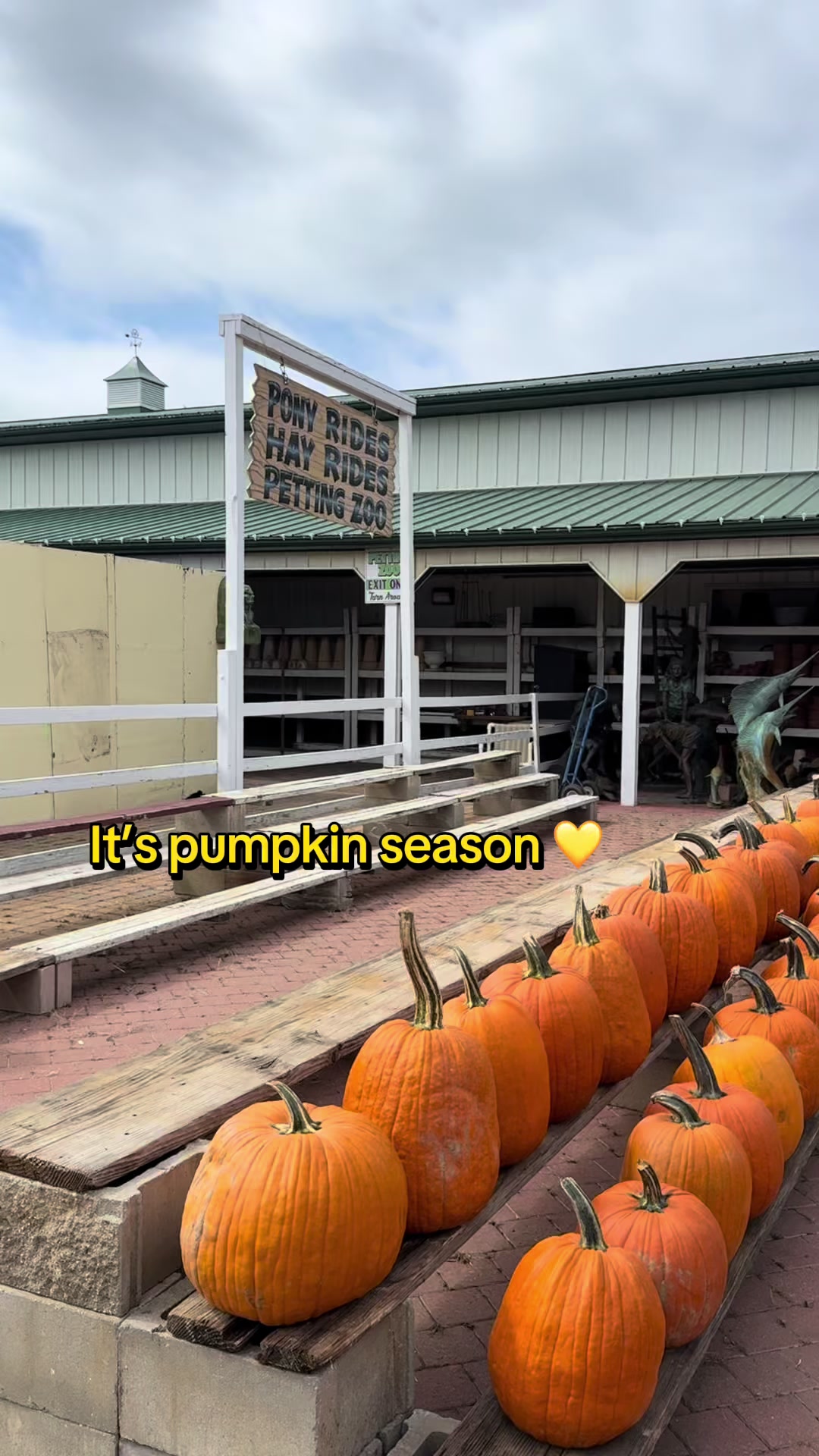 The cutest Hay ride thus far in NJ !!! Send me recommendations for more adventures 🫶🏽🫶🏽 #pumpkinseason #farm #pum...