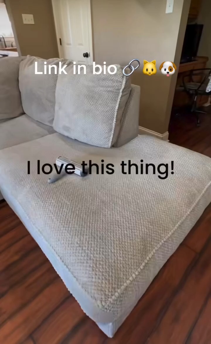 Fur cleaner reusable