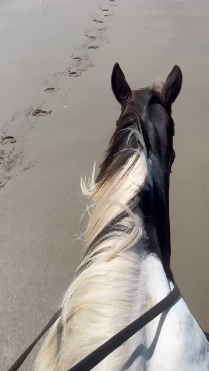 Coast trip!