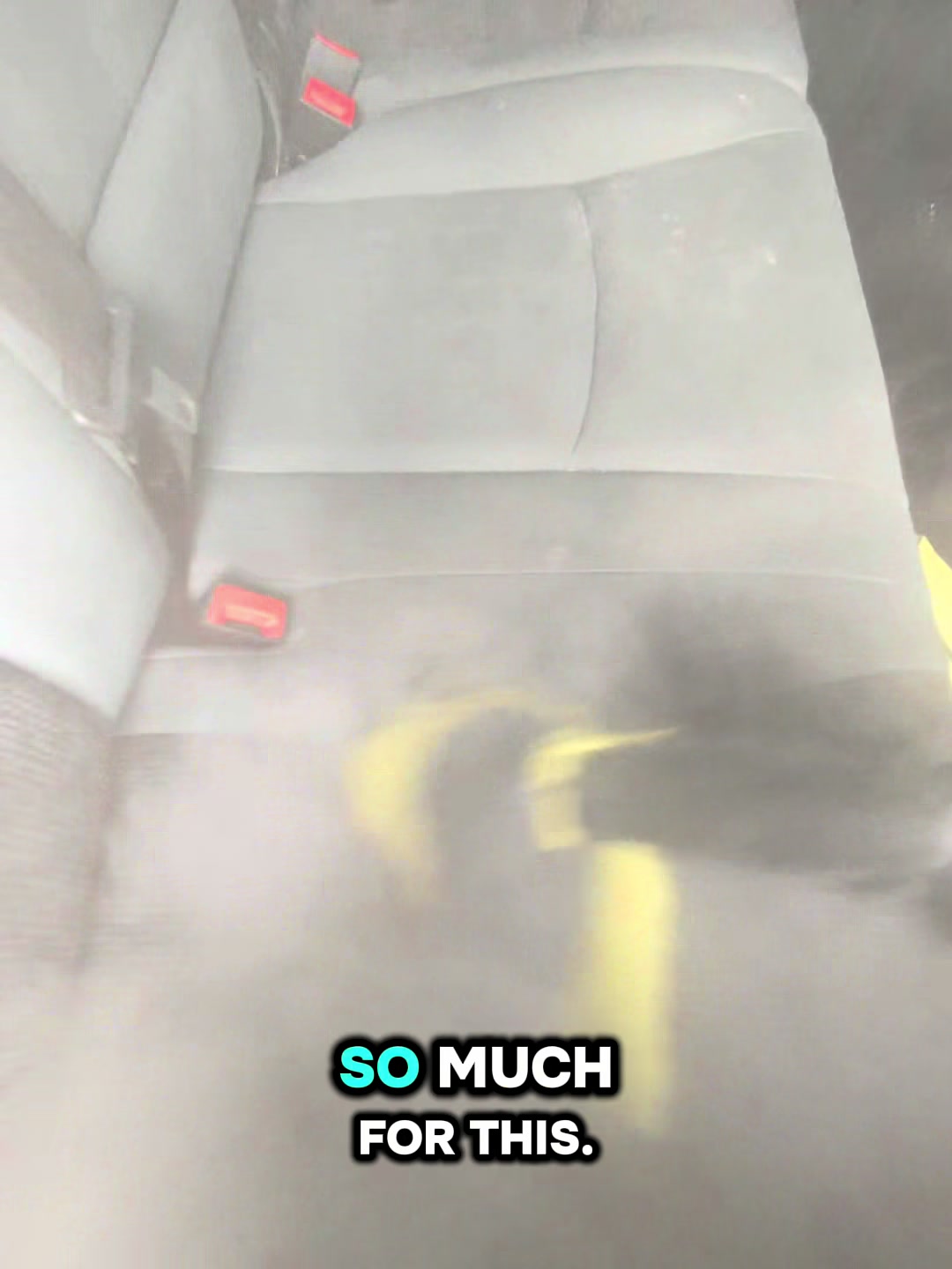 A steamer is by far a MUST for cleaning and detailing #pov #asmr #detailing #cleaningtiktok #satisfying
