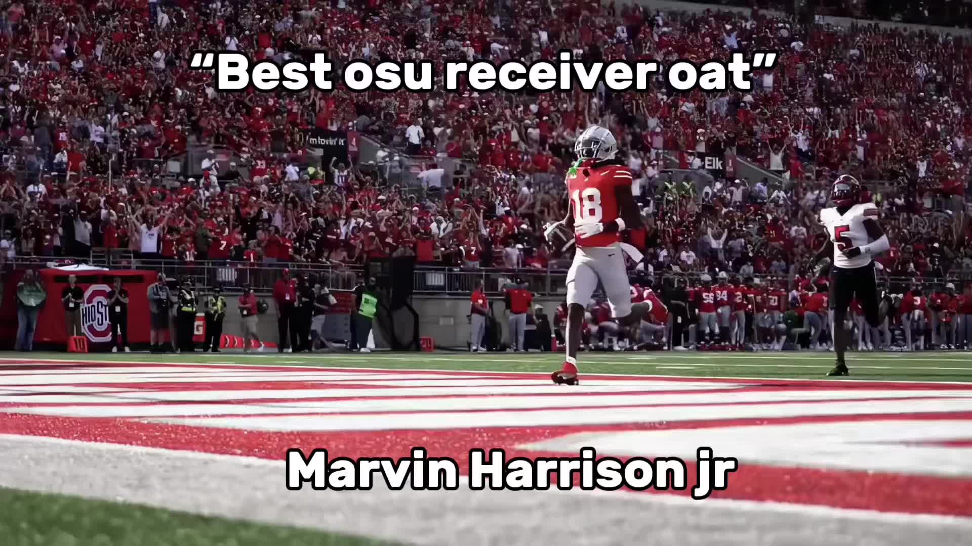 Jeremiah smith#viral #fyp #nfl #cfb #osu @𝐟𝐢𝐥𝐢 @twizzy.logoless