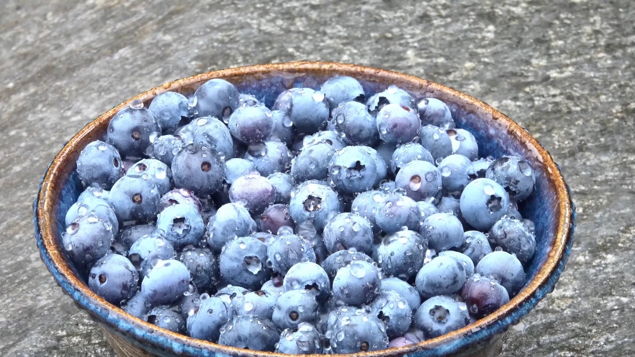 Blueberries