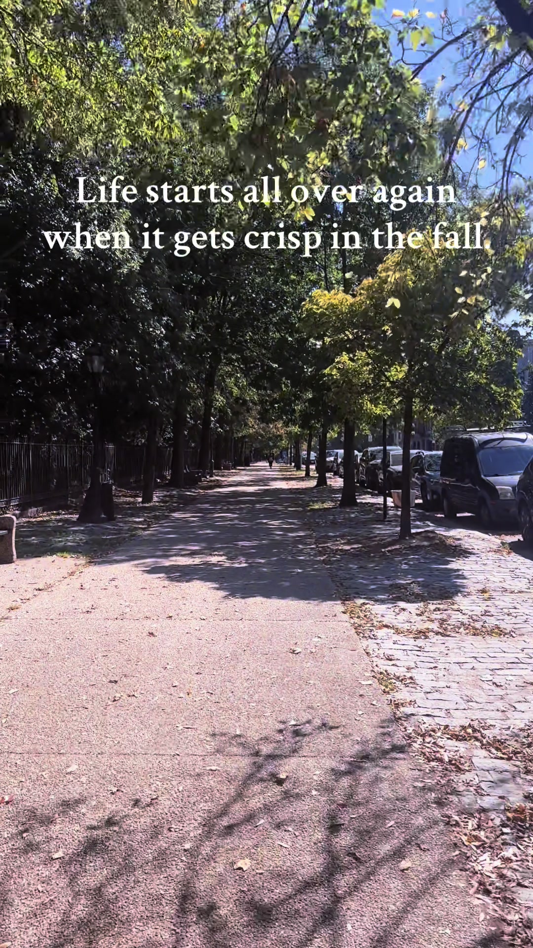 “life starts all over again when it gets crisp in the fall 🍂” #fallvibes #autumnaesthetic #peacefultiktok #dailyquot...