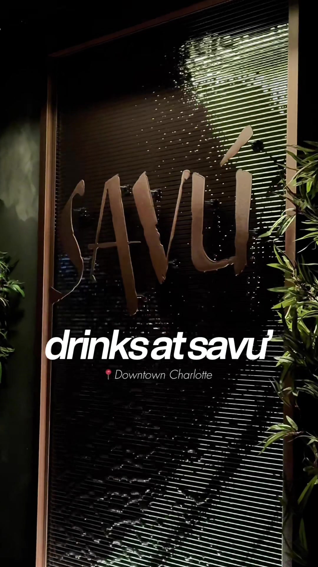 thursday nights at savu charlotte >> i tried the fire shot and the blackberry lemon drop both were really good! great...