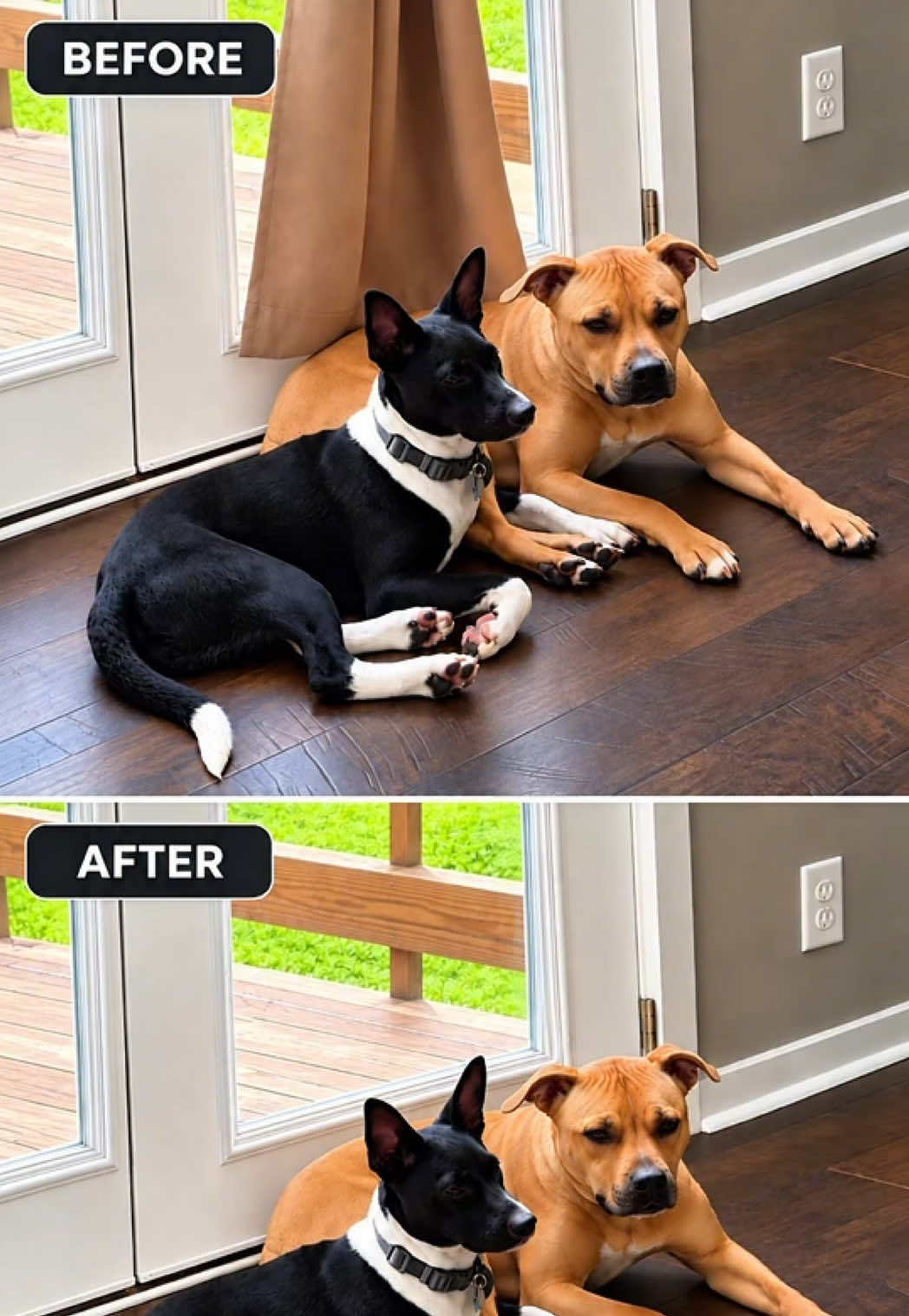 Want to remove Unwanted objects from your photos? ’ll show you how to do it with ChatGPT/Quieres remover objetos inde...