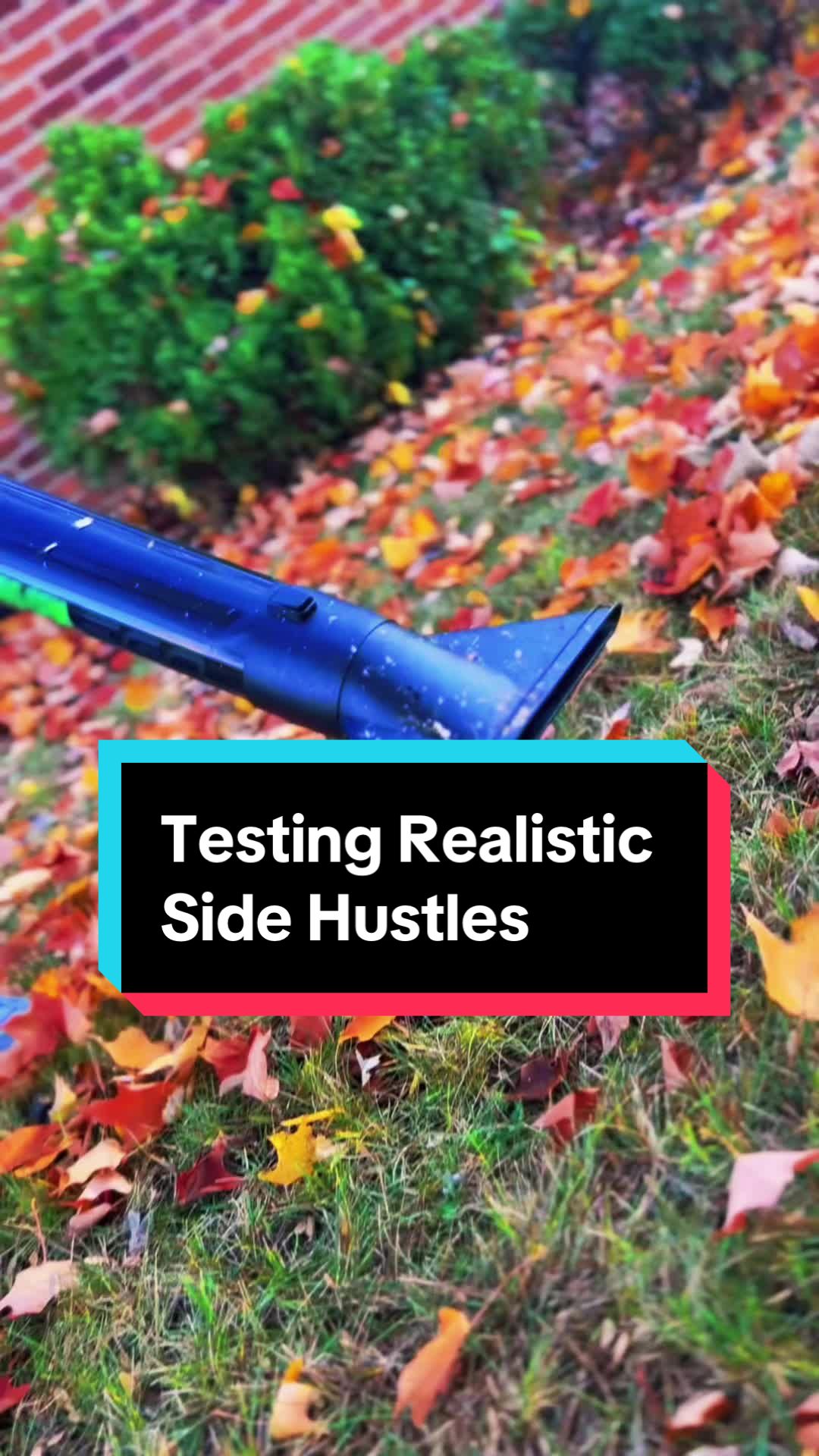 do you think this side hustle is worth it to do with friends? 🤔💰#autumnleaves #sidehustles #sidehustleideas #sidehu...