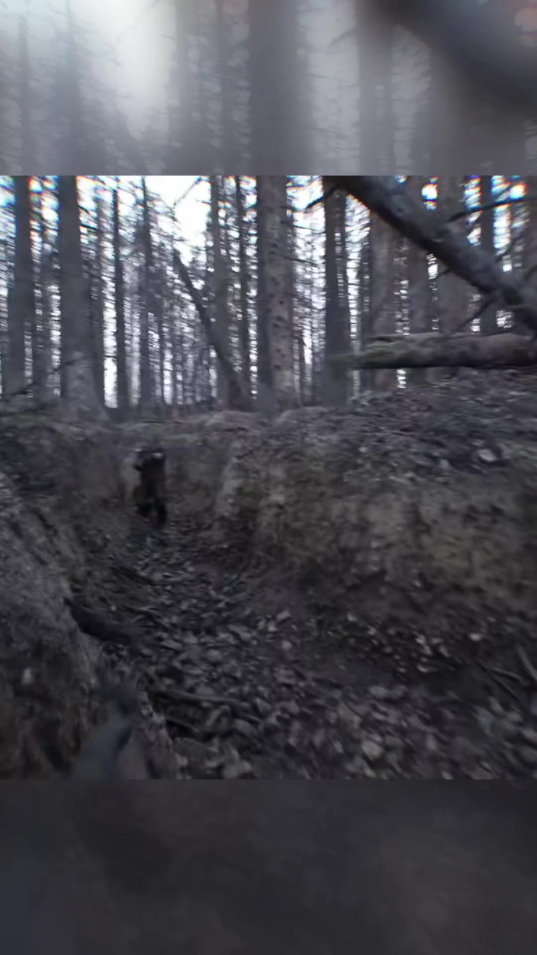 Bodycam: este shooter hace que dispares por puro instinto #bodycam #videojuegos #gaminglatam #gaming #juegos