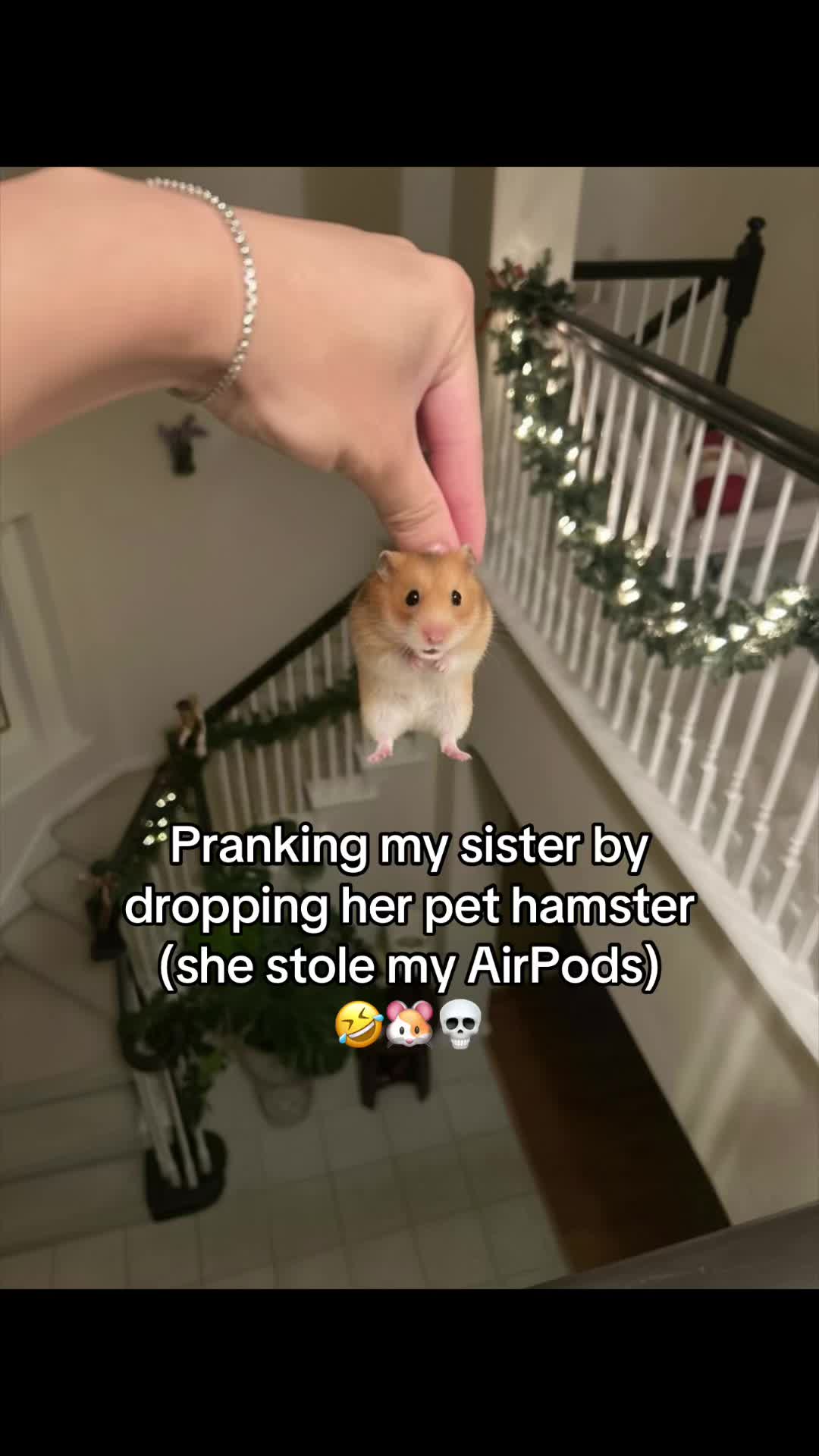 Was this too far 💀💀 #sister #asian #hamster #rip
