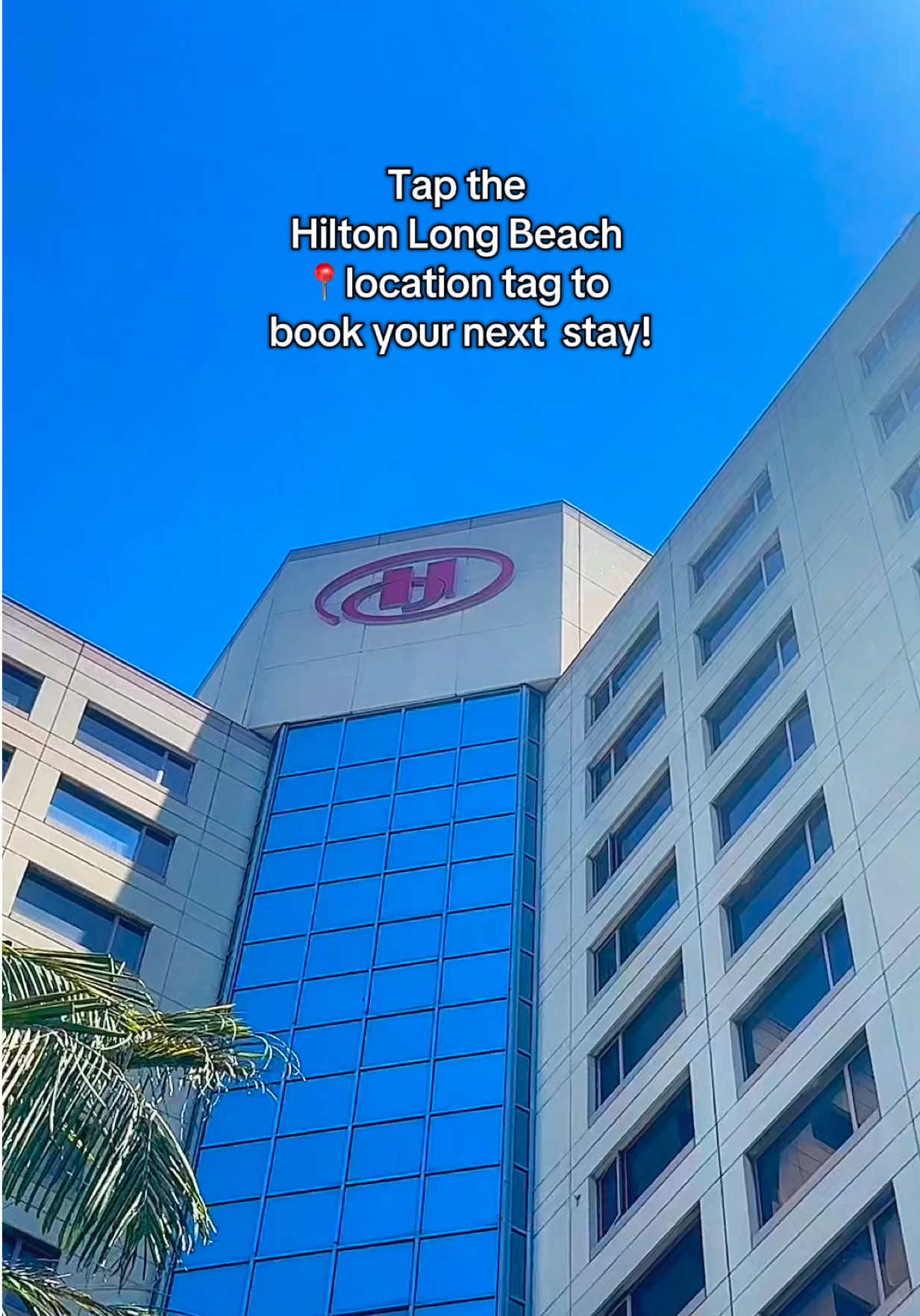 home sweet home (trip from may) dog- friendly stay, sunset views, and the best vibes at @hilton #TikTokGoStay #longbe...