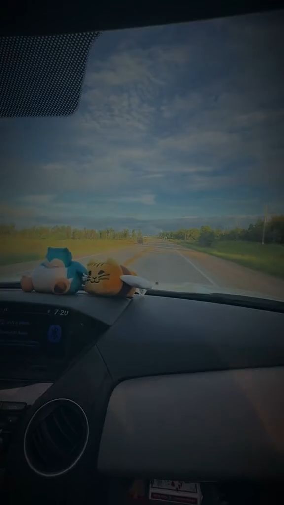 vlog