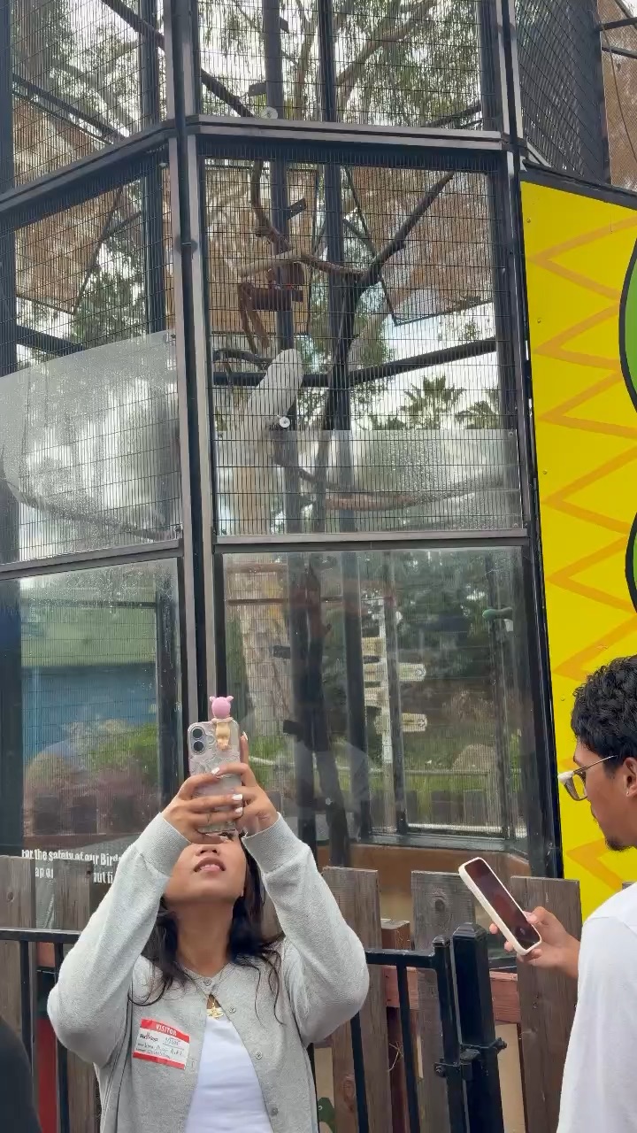 Six flags tour