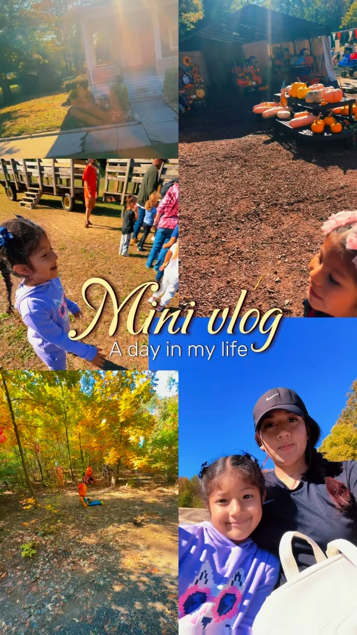 Mini blog