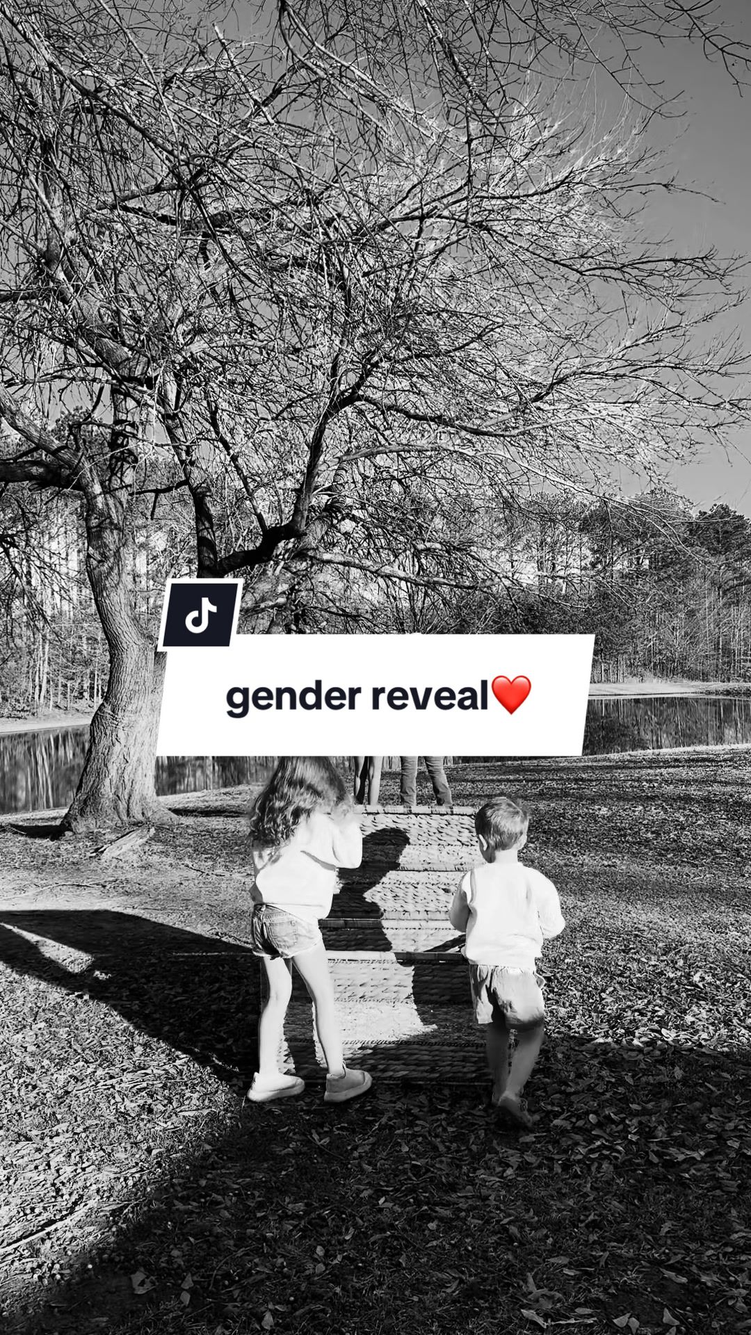 the sweetest and simple gender reveal to include my two babies. such blessings🤍twins coming August 2026. if we make...