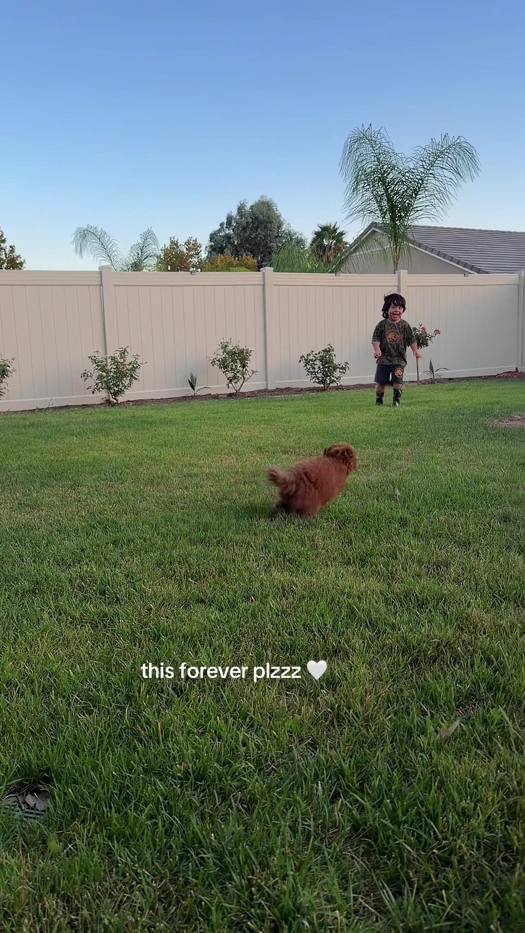 His little laugh forever plsssss #goldendoodle #puppy #bestfriends #doodle