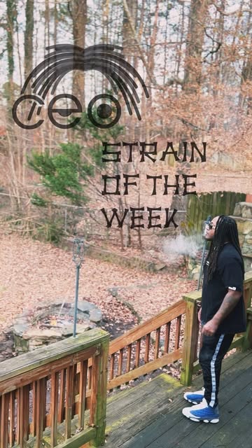 “Strain Of The Week” #Loading #Ceo #Underdog #StrainOfTheWeek #IgReels
