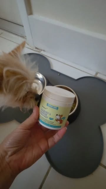 Supporting my pup’s daily wellness with Wonder Paws 🐾💛 I love finding simple ways to add a little extra care to our...