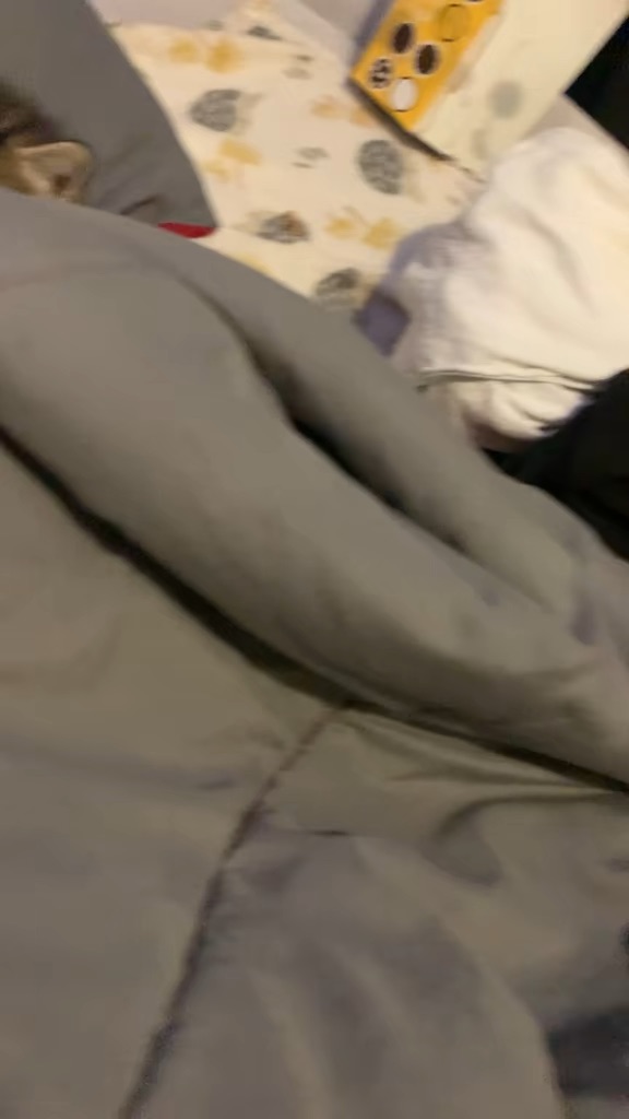 My Son N His New Kitty