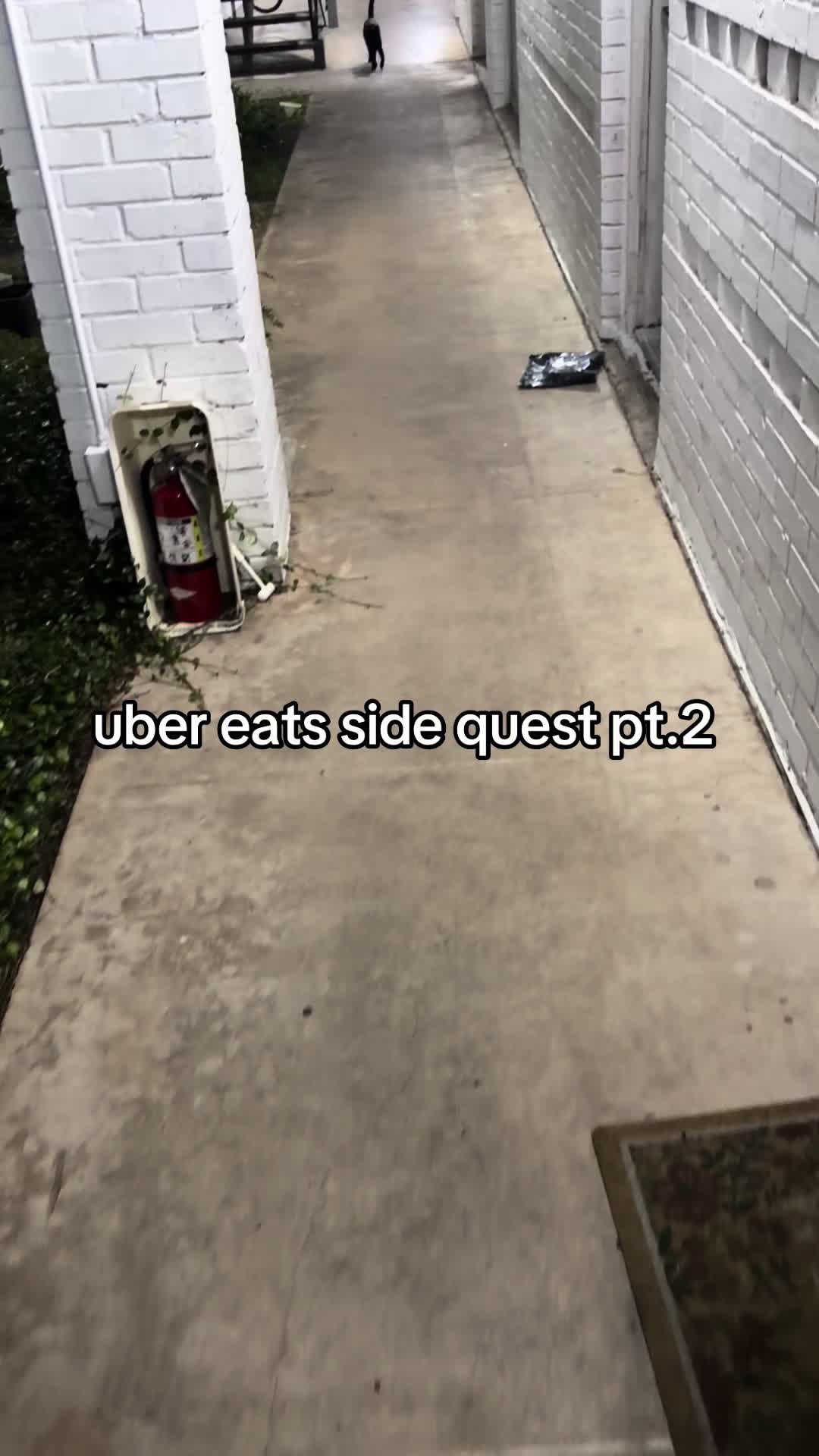 TikTok post