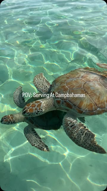 Nothing Like Serving At Campbahamas✝️🎉🌎 @jacoblamarrejoseph @allyson.cathryn @darby_aagaard @alexaalbury @cbmission...